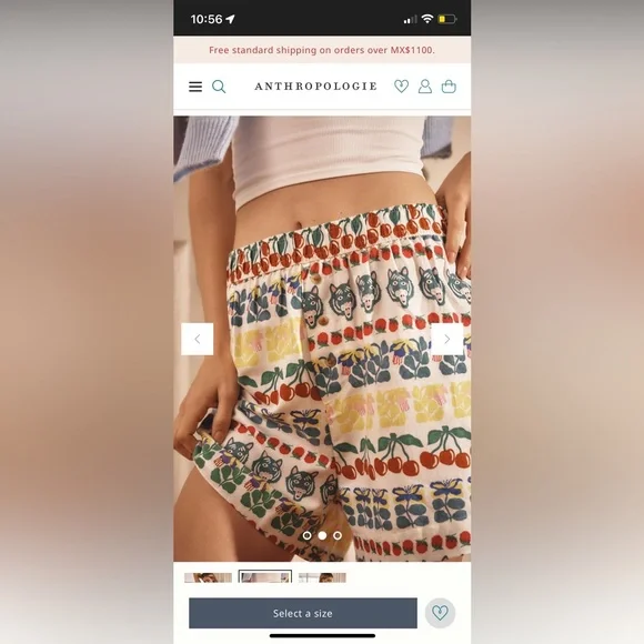 Anthropologie The Wren Boxer Shorts : Flannel Edition - Picture 7 of 9